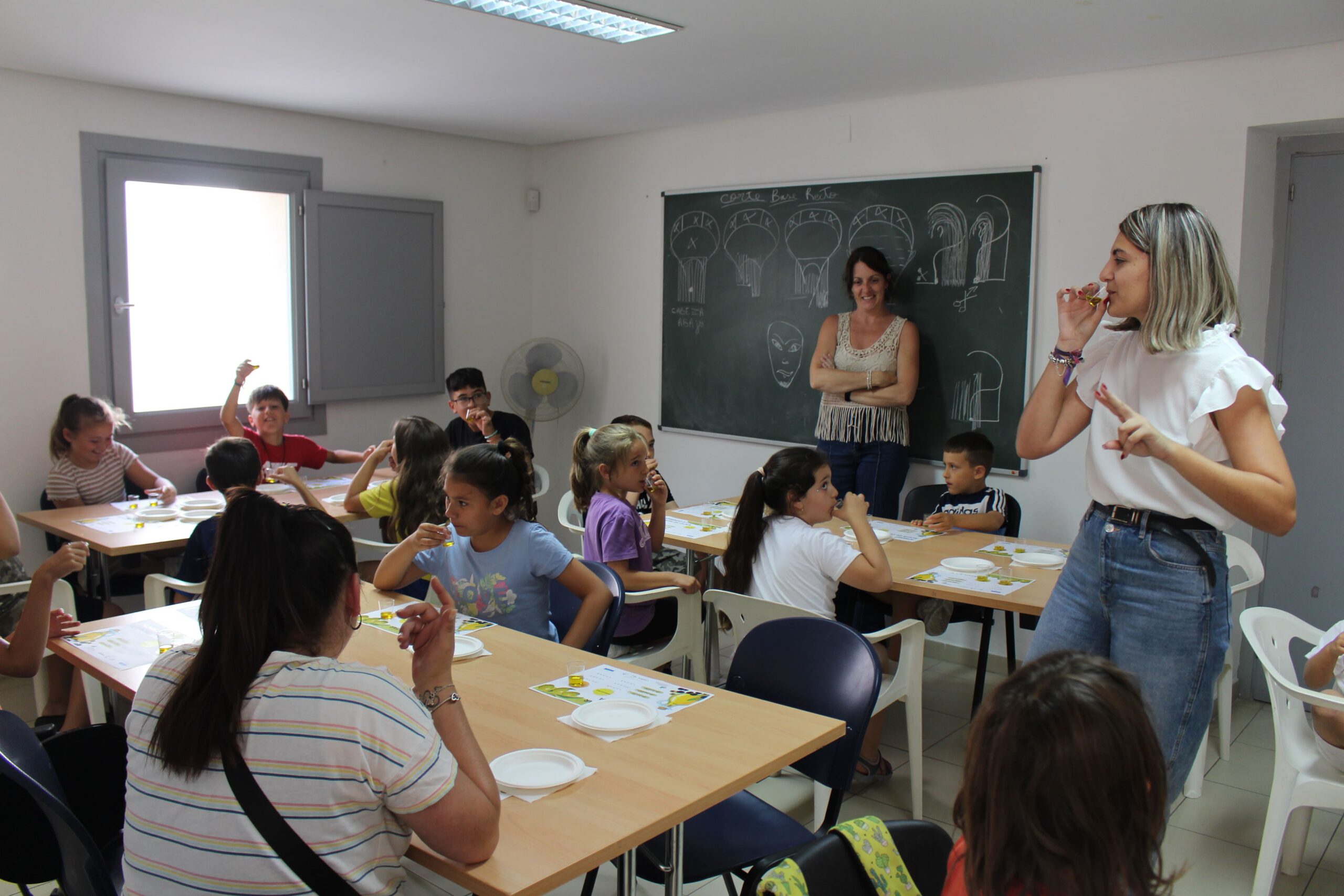 Tu espacio para entidades